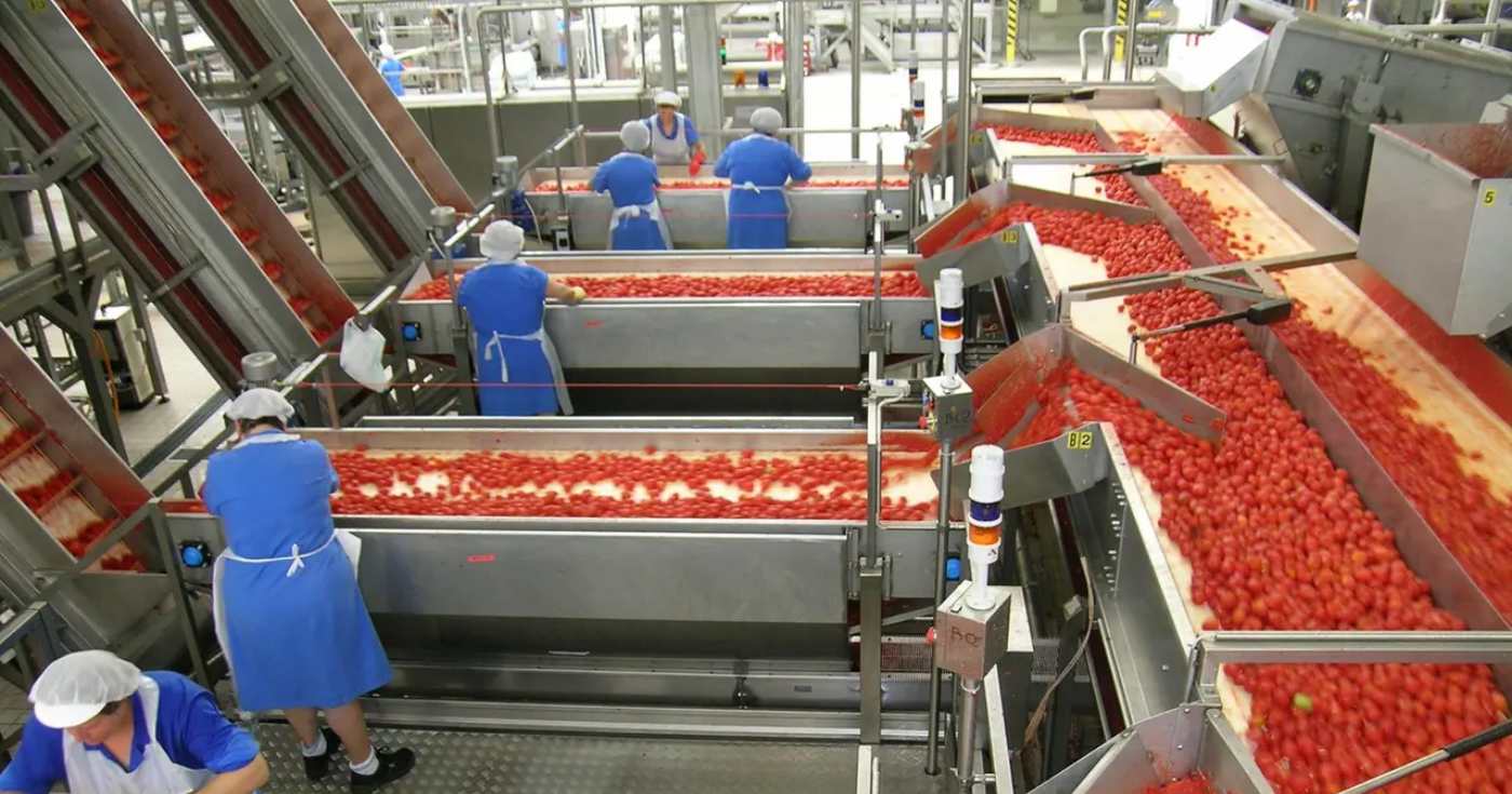 Uno stabilimento per la trasformazione del pomodoro di Conserve Italia (repertorio) Uno stabilimento per la trasformazione del pomodoro di Conserve Italia (repertorio)